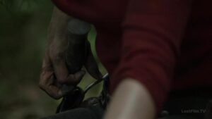 Смотреть на Лордфильм 2.0 Сериал Ходячие мертвецы 2010